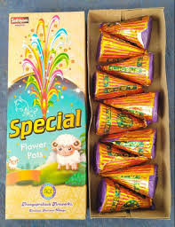 Flower Pots Special - பூந்தொட்டிகள் சிறப்பு